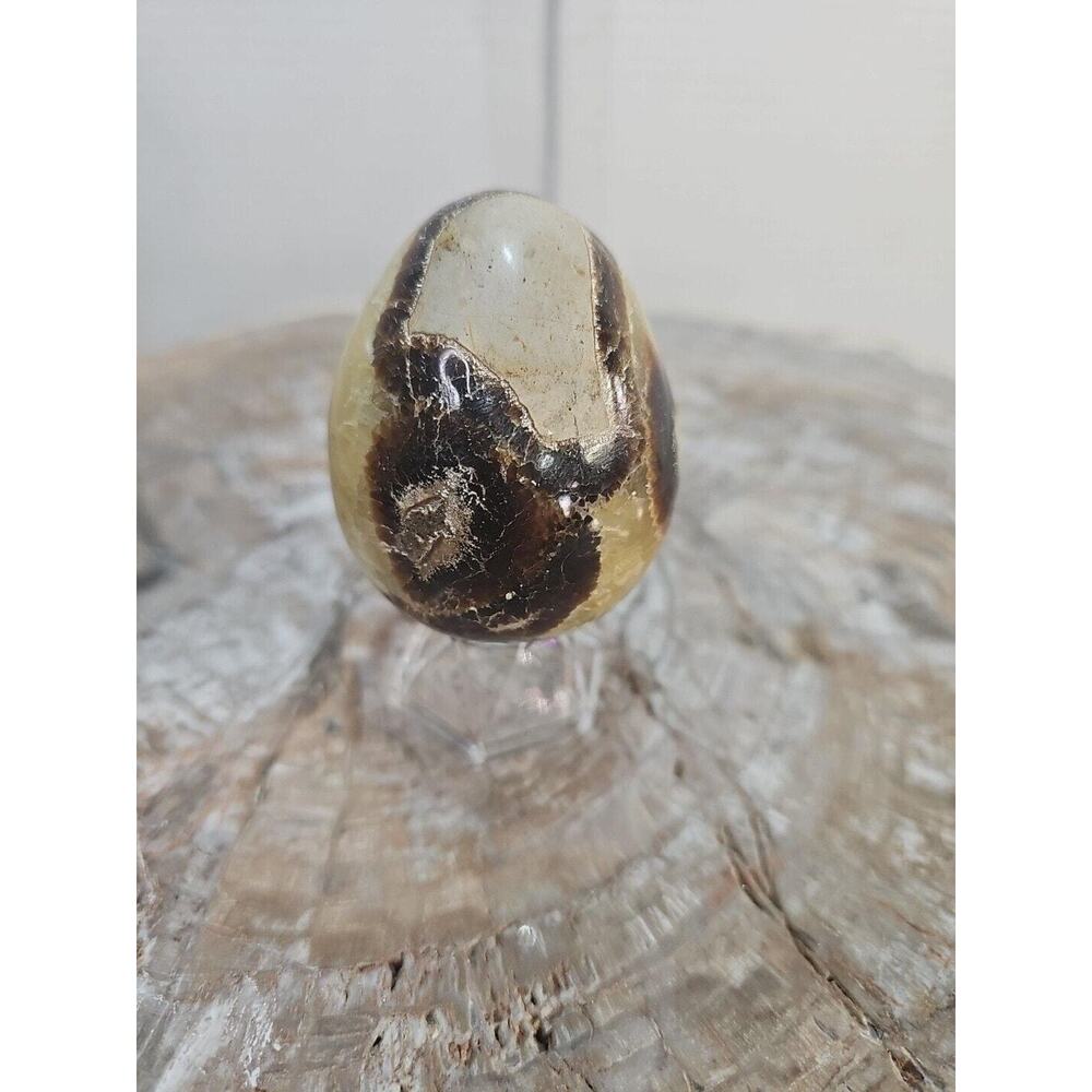 9.0oz Natural Septarian Dragon quartz Crystal egg Mineral Specimen W/Stand